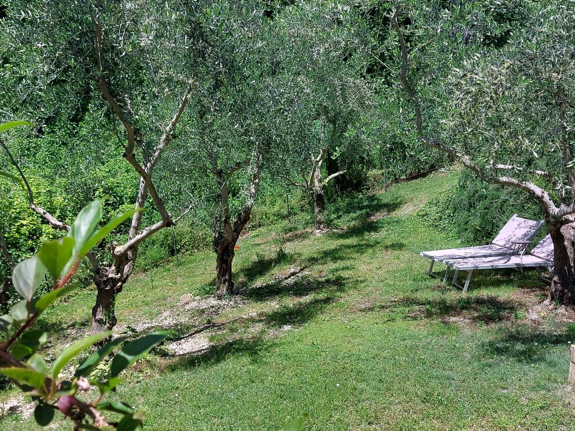 B&B Fonte Fresca Fabriano Esterno foto